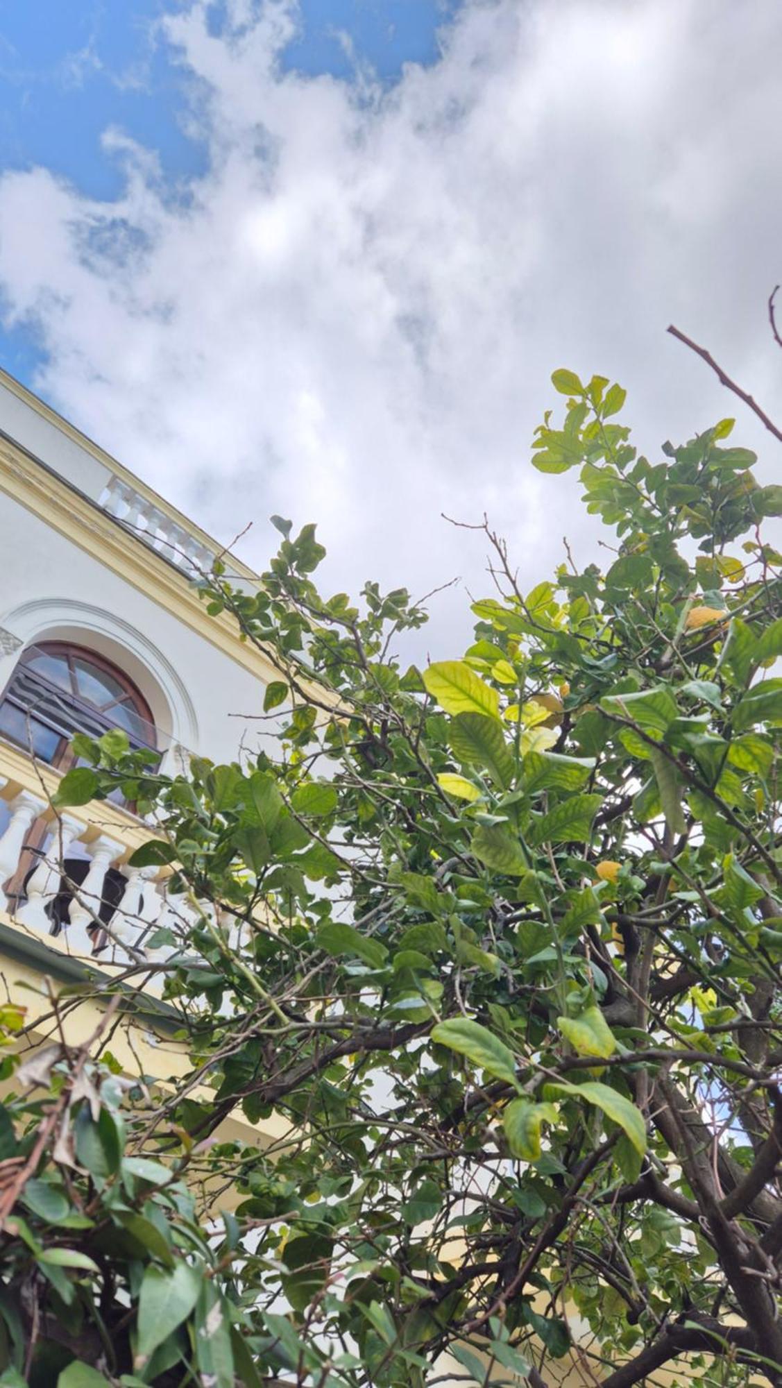 Relais Villa Montedonzelli Napels Buitenkant foto